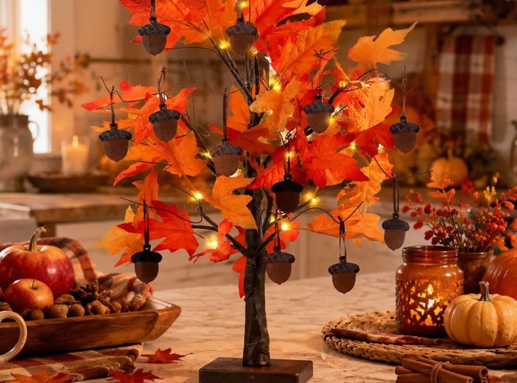 $5 & up Fall Decor That Makes Your Home Feel Cozy—No Halloween Required